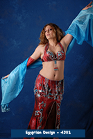 costume 4301a
