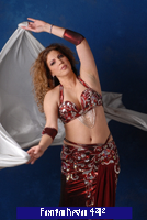 costume 4302a
