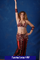costume 4302b